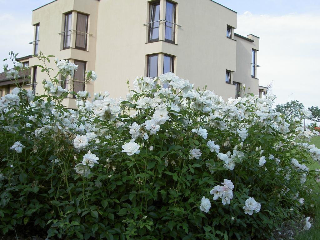 Hotel Grodzki Poznan Exterior photo